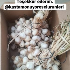 Taşköprü Sarımsağı (Orta Boy)