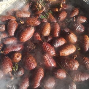 Köknar Kozalağı Pekmezi